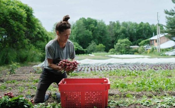 Comment adopter une politique agricole écologique ?