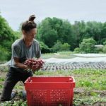 Comment adopter une politique agricole écologique ?