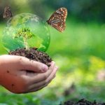 Comment préserver la biodiversité en France ?